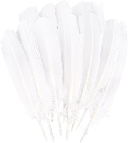 Daieeparty 12pcs Guinea Fowl Wing Feathers Bulk 6-8 inch in Kuwait