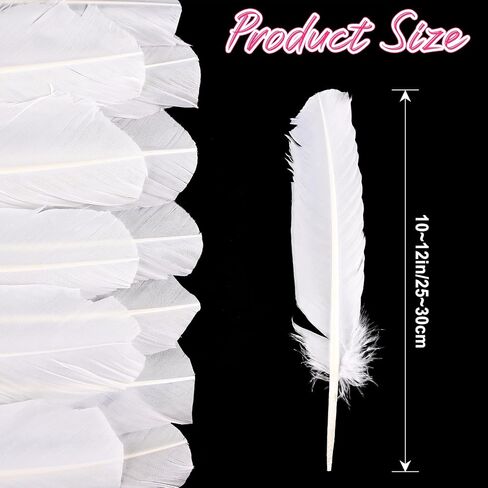 Daieeparty 12pcs Guinea Fowl Wing Feathers Bulk 6-8 inch in Kuwait