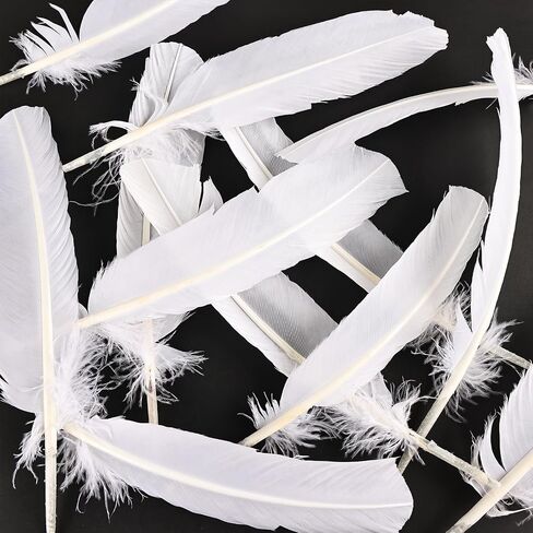 Daieeparty 12pcs Guinea Fowl Wing Feathers Bulk 6-8 inch in Kuwait