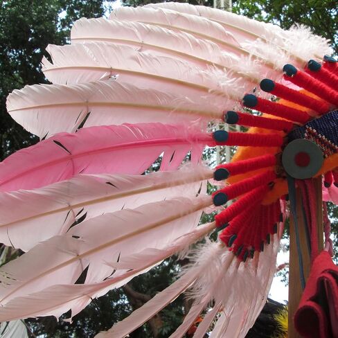 Daieeparty 12pcs Guinea Fowl Wing Feathers Bulk 6-8 inch in Kuwait