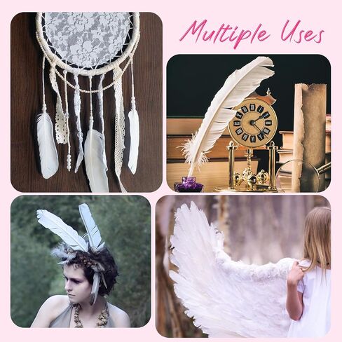 Daieeparty 12pcs Guinea Fowl Wing Feathers Bulk 6-8 inch in Kuwait
