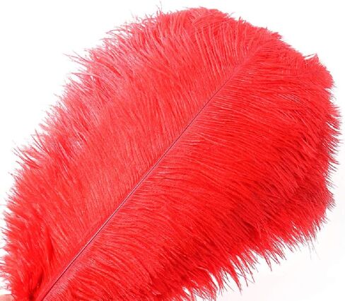 10 قطعة من ريش النعام الطبيعي 14-16 بوصة (35-40 سم) لتزيين المنزل تحف الزفاف (14-16 بوصة، أسود) in Kuwait