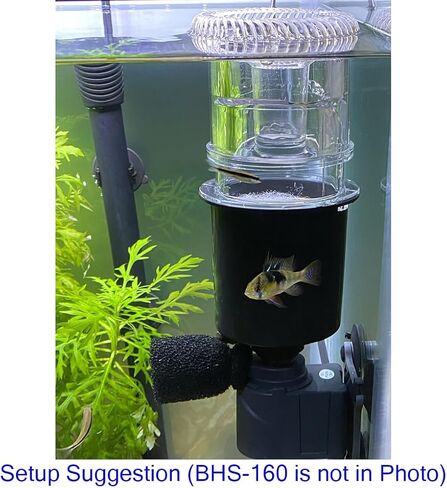 Aquarium Surface Skimmer with Pump in Saudi Arabia