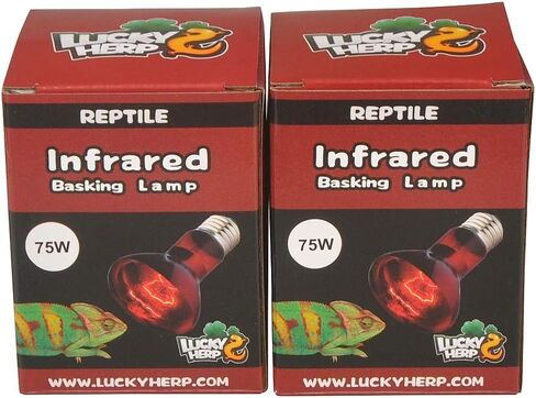 LUCKY HERP Reptile Infrared Basking Bulb,Terrarium Lighting Lamp,2-Pack (25, Watts) in Saudi Arabia