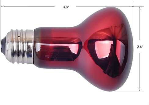 LUCKY HERP Reptile Infrared Basking Bulb,Terrarium Lighting Lamp,2-Pack (25, Watts) in Saudi Arabia