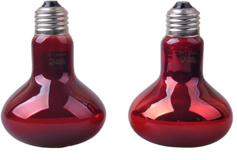 LUCKY HERP Reptile Infrared Basking Bulb,Terrarium Lighting Lamp,2-Pack (25, Watts) in Saudi Arabia