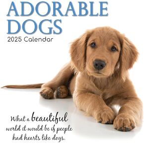 The Gifted Stationary 2025 Square Wall Calendar, Adorable Dogs, 16-Month Animals Theme Hanging Calendar with 180 Reminder Stickers, Month Planner for Home, or Creative Spaces, 12x12 In