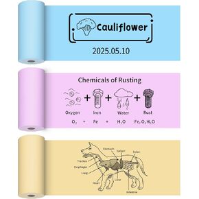 3 Roll Mini Sticker Printer Paper, 57 x 30mm Thermal Printer Paper Roll Non-Adhesive for PeriPage A6, Most Portable Pocket Mobile Printer Yellow/Blue/Pink