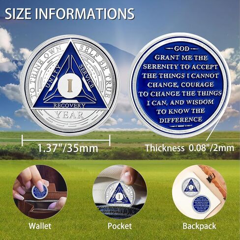 CHURYUML 1 Month Sobriety Coin One Month Sobriety Chip 30 Day AA Coins and Medallions Sobriety Gifts for Men Women Sober Token Alcoholics Anonymous Addiction Recovery Gift in Saudi Arabia
