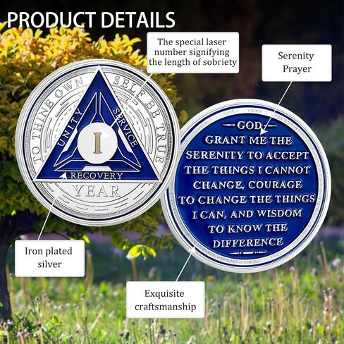 CHURYUML 1 Month Sobriety Coin One Month Sobriety Chip 30 Day AA Coins and Medallions Sobriety Gifts for Men Women Sober Token Alcoholics Anonymous Addiction Recovery Gift in Saudi Arabia