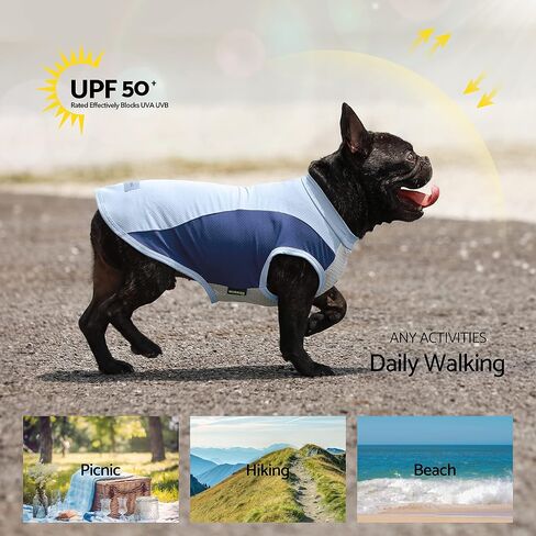 Fitwarm 2 Pack UPF 50+ UV Sun Protection Dog Shirt, Quick Dry Summer Dog Clothes for Small Dogs Boy Girl, Reflective Label, Lightweight Breathable Cooling Vest, Pet Cat Outfit, Orange, Blue, Large in Saudi Arabia