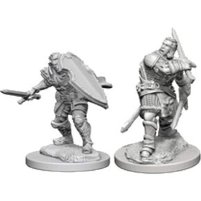 D&D Nolzurs Marvelous Unpainted Miniatures: Wave 3: Human Male Paladin