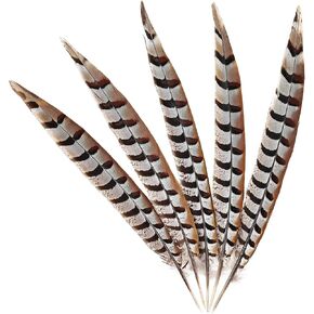 MehelloFeather Natural Pheasant Feathers 5Pcs Pheasant Tail Feather 6-8Inch for Crafts Home Decoration Wedding Performance Party DIY Clothes Decoration