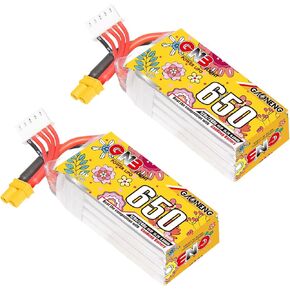 2pcs GNB GANENG 4S LiPo 15.2V 650mAh 120C XT30 Plug LiPo Batteries Packs for Size 90 to 150mm Brushless Drones Cinelog30 Protek25 Cinewhoop DIY FPV Freestyle Drone RC Drone