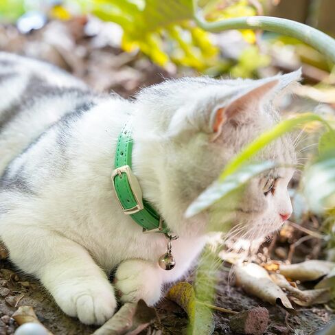 Leather Cat Collars for Boy Girl Cats with Bell and Safety Elastic Belt, Personalized Star and Moon Stud Adjustable Safe Buckle Collar for Kitty Small Big Cats in Saudi Arabia