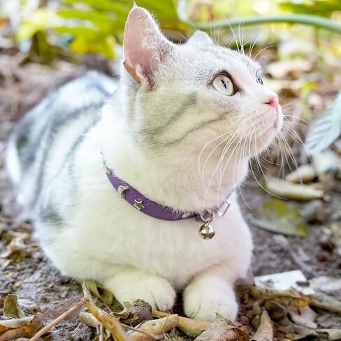 Leather Cat Collars for Boy Girl Cats with Bell and Safety Elastic Belt, Personalized Star and Moon Stud Adjustable Safe Buckle Collar for Kitty Small Big Cats in Saudi Arabia