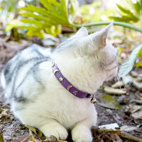 Leather Cat Collars for Boy Girl Cats with Bell and Safety Elastic Belt, Personalized Star and Moon Stud Adjustable Safe Buckle Collar for Kitty Small Big Cats in Saudi Arabia