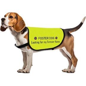 Rescue Dog Jacket Vest Foster Fail Dog Harness Dog Adoption Slogan Vest (Foster Fail-Medium)