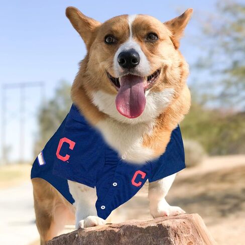MLB Jersey for Dogs & Cats - Baseball San Diego Padres Pet Jersey, Small. in Saudi Arabia