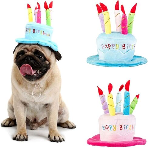 Cute Adorable Dog Cat Birthday Cake Hat Pet Cap Headwear Hat with 5 Color Candles Design Party Custom Accessory (One Size fits Most) (Blue) in Saudi Arabia
