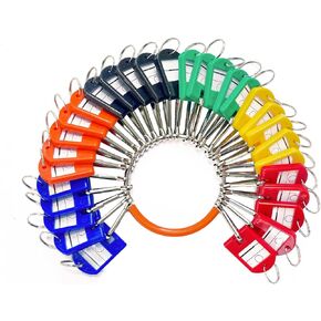 Portable Key Organizer, Key Organizer Keychain with 30 Individual Spring Hooks and Key Tags for Multiple Keys, Lightweight Key Holder for Office, Janitor, Hotel, Apartments, Car Rental