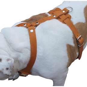 Genuine Leather Dog Harness, 37"-45" Chest, 1" Wide Straps. XXLarge. Newfoundland, Mastiff