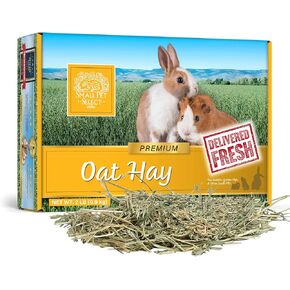 Small Pet Select Oat Hay Pet Food, 20 Lb.
