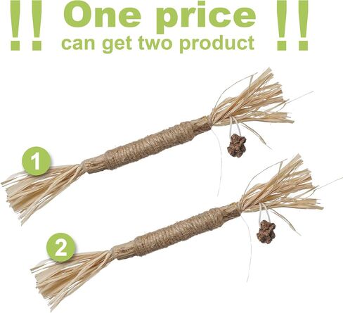 PAZ'S GIFT Catnip Toy Cat Toys Catnip Toy cat chew Toy cat Kicking silvervine Stick Teeth Cleaning Cute Kitten Teething Indoor Interactivecat Dental Care Matatabi (Feather 2pcs) in Kuwait