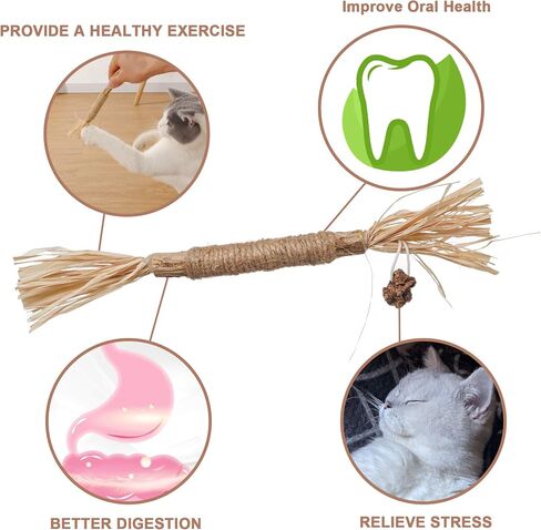 PAZ'S GIFT Catnip Toy Cat Toys Catnip Toy cat chew Toy cat Kicking silvervine Stick Teeth Cleaning Cute Kitten Teething Indoor Interactivecat Dental Care Matatabi (Feather 2pcs) in Kuwait