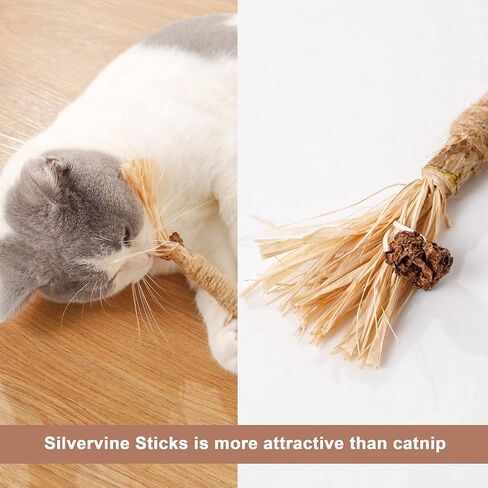 PAZ'S GIFT Catnip Toy Cat Toys Catnip Toy cat chew Toy cat Kicking silvervine Stick Teeth Cleaning Cute Kitten Teething Indoor Interactivecat Dental Care Matatabi (Feather 2pcs) in Kuwait