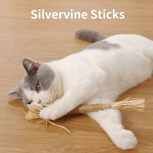 PAZ'S GIFT Catnip Toy Cat Toys Catnip Toy cat chew Toy cat Kicking silvervine Stick Teeth Cleaning Cute Kitten Teething Indoor Interactivecat Dental Care Matatabi (Feather 2pcs) in Kuwait