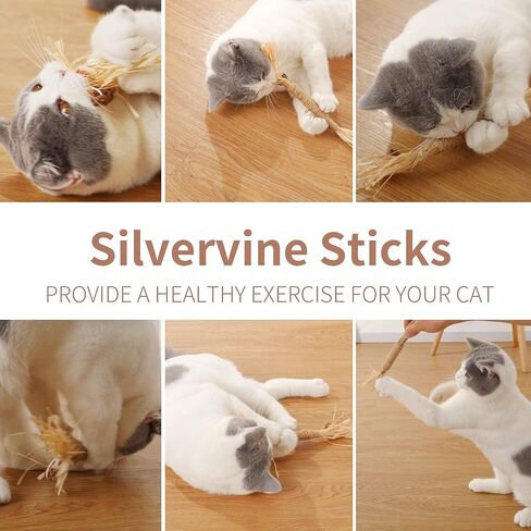 PAZ'S GIFT Catnip Toy Cat Toys Catnip Toy cat chew Toy cat Kicking silvervine Stick Teeth Cleaning Cute Kitten Teething Indoor Interactivecat Dental Care Matatabi (Feather 2pcs) in Kuwait