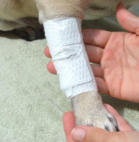Joint and Large Area Wound Bandages for Dogs Cats & Other Pets. Great for Leg Joint sprains and Tail Injuries! Non Adhesive Breathable Non-Slip Disposable Washable Value Pack (L/XL 12pk) in Saudi Arabia