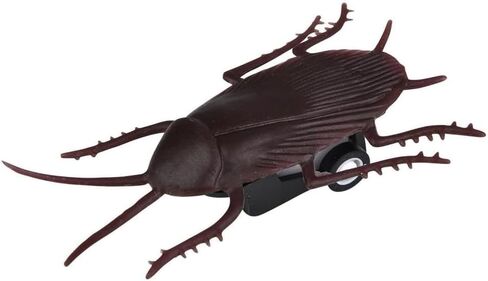 Pull Back Fake Speedy Cockroach Toy (2.5") Plastic Insect Crawling Brown Realistic Lifelike Roach Super Fast Prank Scary Gag Joke Bug for Party Halloween (Cockroach, One, Pack) in Saudi Arabia