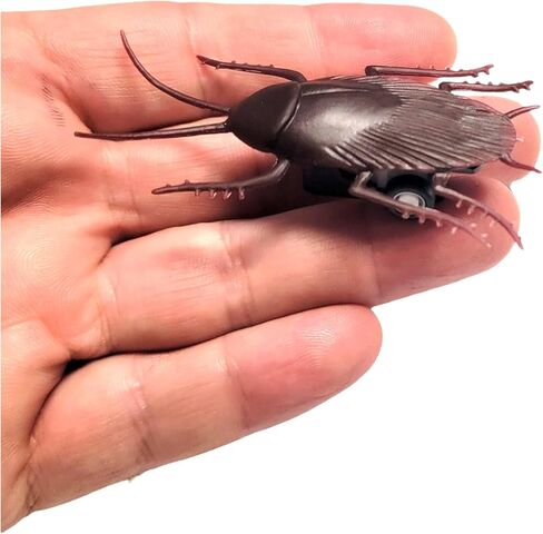Pull Back Fake Speedy Cockroach Toy (2.5") Plastic Insect Crawling Brown Realistic Lifelike Roach Super Fast Prank Scary Gag Joke Bug for Party Halloween (Cockroach, One, Pack) in Saudi Arabia
