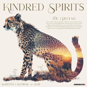 Willow Creek Press Kindred Spirits Monthly 2025 Wall Calendar (12" x 12")