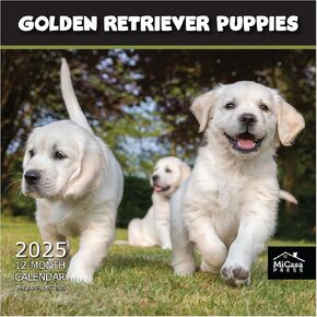 MICASA Golden Retriever Puppies 2025 Hangable Monthly Wall Calendar | 12" x 24" Open | Thick & Sturdy Paper | Giftable | Cute Dog | Every Day is Golden
