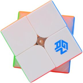 Bukefuno GAN 251 M Pro 2x2 Magnetic Cube Gans Mini Speed GAN 251 Pro 63 2x2x2 Stickerless Magnets 2021 Magic Puzzle(Flagship 251M Pro Matte Surface)