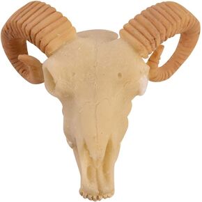Wixine 1Pcs Aquarium Resin Sheep Head Skull Fish Tank Ornament Terrarium Reptile Decorations