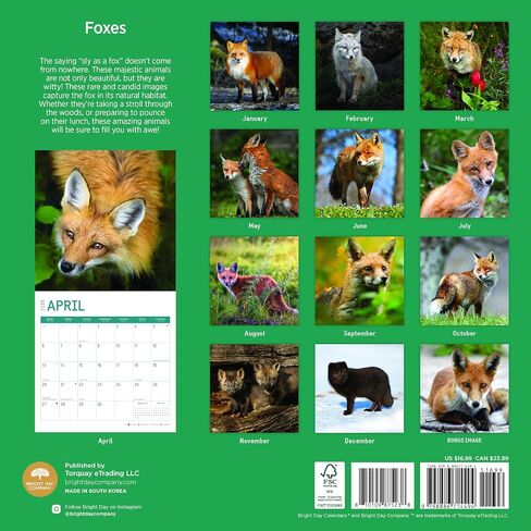 2025 Foxes Monthly Wall Calendar by Bright Day, 12 x 12 Inch Cute Nature Photography Gift in Saudi Arabia