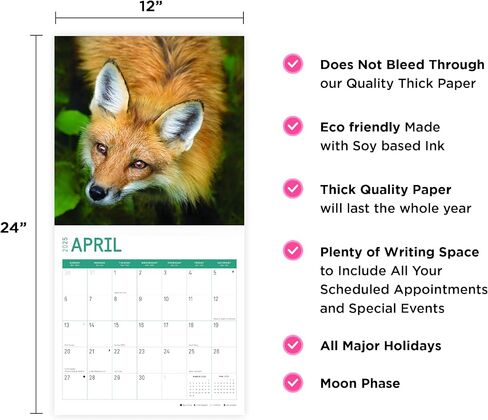 2025 Foxes Monthly Wall Calendar by Bright Day, 12 x 12 Inch Cute Nature Photography Gift in Saudi Arabia