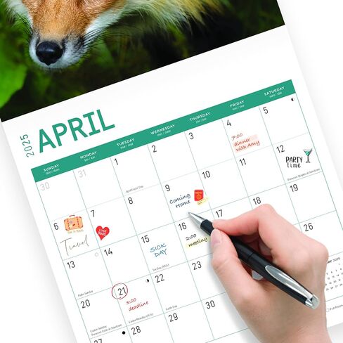 2025 Foxes Monthly Wall Calendar by Bright Day, 12 x 12 Inch Cute Nature Photography Gift in Saudi Arabia