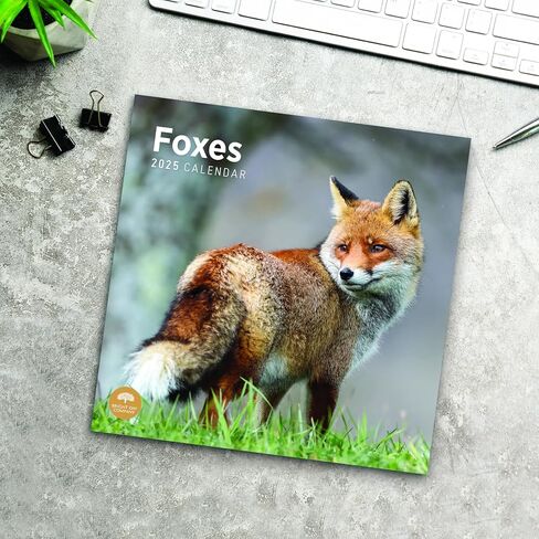 2025 Foxes Monthly Wall Calendar by Bright Day, 12 x 12 Inch Cute Nature Photography Gift in Saudi Arabia