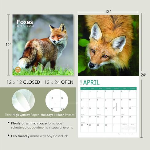 2025 Foxes Monthly Wall Calendar by Bright Day, 12 x 12 Inch Cute Nature Photography Gift in Saudi Arabia