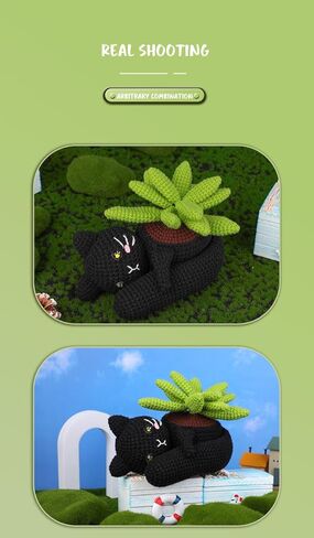 مجموعة Armiwiin كروشيه للمبتدئين - مجموعة نباتات بوعاء للقطط مع دروس فيديو خطوة بخطوة، حرفة يدوية للبالغين والأطفال، هدية رائعة للنساء in Kuwait