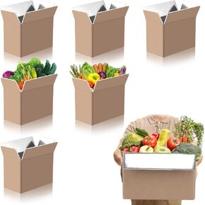 6 Pack Insulated Shipping Box for Shipping Frozen Food Cold Shipping Boxes Large Foil Cooler Carton Moving Kits for Mailing Packing (Box Size 11 x 6.5x 7.4 Inch)