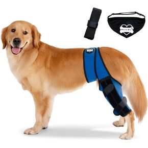 Dog Knee Brace Hind Leg - Orthopedic Brace for Dogs - Integrated Support Strap for Canine Cruciate Ligament, Luxating Patella, Dislocation Injury - Includes Bandana Collar - Blue & Black (L)