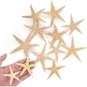 PPCLION Small Starfish Star Sea Shell Beach Craft ((2.5"-3.5") 10 Pcs
