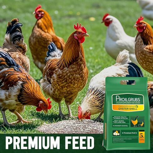 PROILGRUBS Crushed Oyster and Seashell Mix Great Calcium Supplement for Laying Hens & Chickens 5 LB in Saudi Arabia