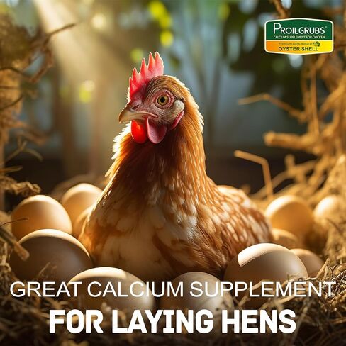 PROILGRUBS Crushed Oyster and Seashell Mix Great Calcium Supplement for Laying Hens & Chickens 5 LB in Saudi Arabia